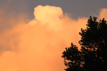 Fototapeta premium Summer Sky