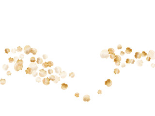 Gold seashells isolated, pearl bivalved mollusks