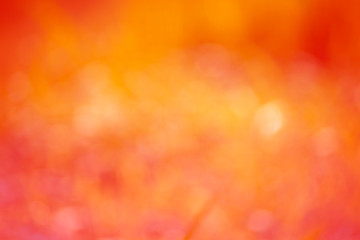 The abstract background of a blurred and soft red bokeh