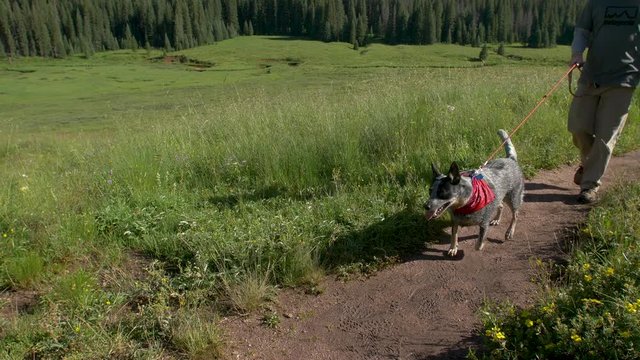 Young Couple Hike Colorado Mountain Trail with Dog on Leash