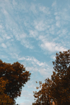 cielos con nubes