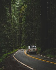 Vertical shot of a white van driving on the road in the middle of a forest with green tall trees