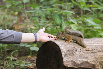 Just a quick sniff