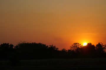 Sunset orange light with grass on the side of the road.