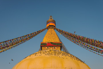 Boudhanath temple