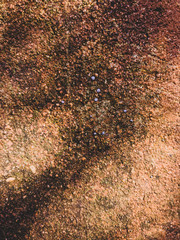 rusty metal background