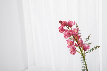 Beautiful flowers Cymbidium faberi Rolfe