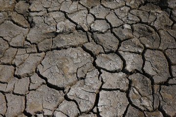 Climate warming dry chapped land