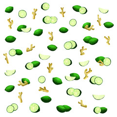 Lime and ginger watercolor vector illustrations