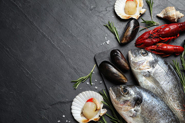 Fresh fish and different seafood on black table, flat lay. Space for text