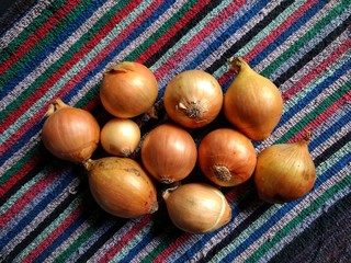 Close-up of organic onions on tablecloth. Healthy food concept. harvested vegetables in Guatemala