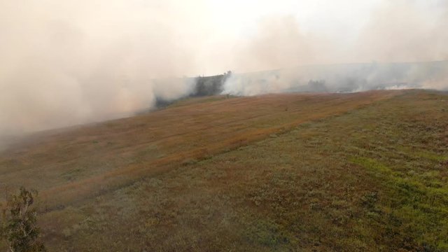 Forest fire smoke spreading. Smog above fields and forests. Intense air pollution. Smoke billows from a forest wildfire. Heat wave, drought, global warming, loss of timber.