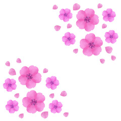 桜の花　水彩ベクター