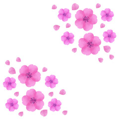 桜の花　水彩ベクター