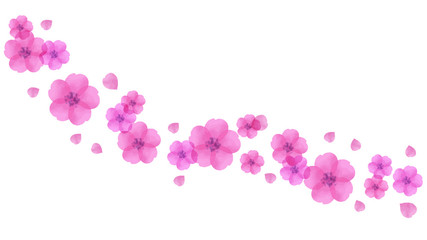 桜の花水彩ベクター