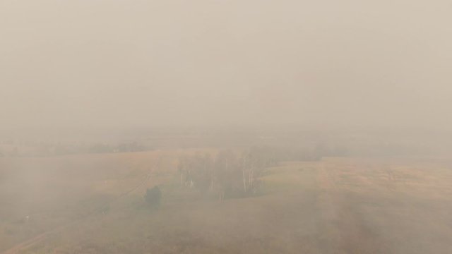 Forest fire smoke spreading. Smog above fields and forests. Intense air pollution. Smoke billows from a forest wildfire. Heat wave, drought, global warming, loss of timber.