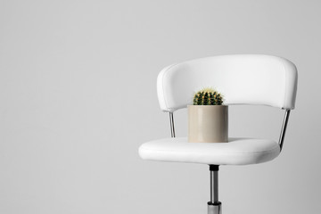 Chair with cactus isolated on white. Hemorrhoids concept