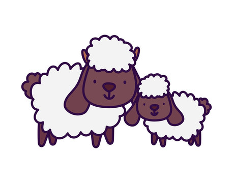 sheeps bovine family farm animal cartoon