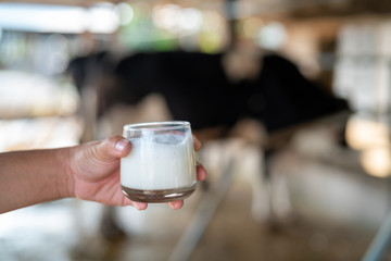 Milk glass handle on a farm background