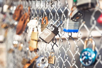 Padlocks on a chain link fence