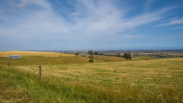 Landscape view of an open farm land in rural Victoria, Australia during one hot summer day. Lack of rain makes the grass appears yellow and dry