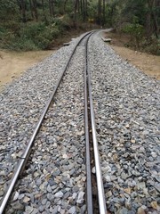Fototapeta premium railway in forest