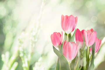 Beautiful pink bouquet of tulips on a green background.Toned photo.Copy space.