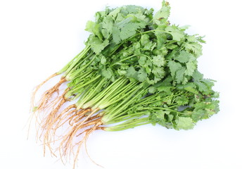 Fresh parsley leaves isolated on white background