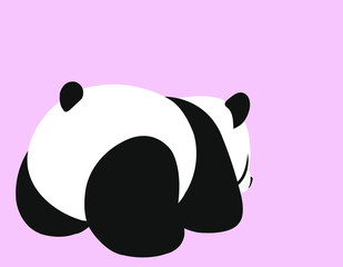 Black and white panda ass isolated pink background. Mammals. © TrinTra Creator