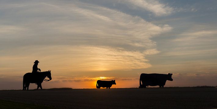 silhouette of cowboy and cattle statues at sunset