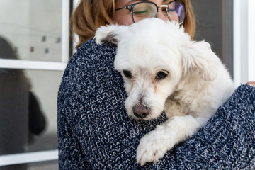 Mujer carga y abraza a un perro blanco pequeño