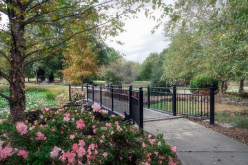 Walkway and wrought iron railings in a garden
