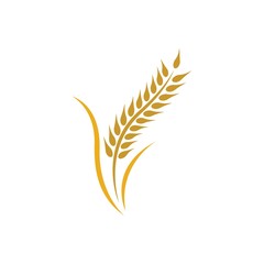 Wheat logo vector icon