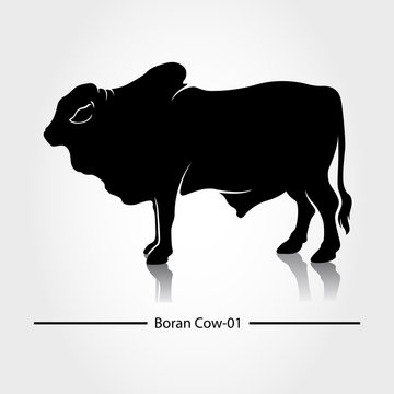 Boran Cow Silhouette Vector Template. This silhouette suitable for icon, symbol, businesses, product pic, restaurants serving beef dishes, or can also be used for cow farming business.