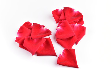 red broken heart of rose petal flower isolated on white background, abstract symbol heartbroken of love problem