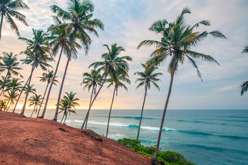 background, beach, beautiful, blue, coast, coconut, exotic, island, landscape, nature, ocean, palm, paradise, sand, sea, seascape, sky, summer, sun, tourism, travel, tree, tropical, vacation, water