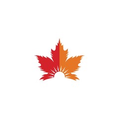 Vector illustration of autumn red and orange maple leaves with white background