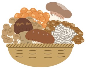 【籠】きのこ類＊主線なし