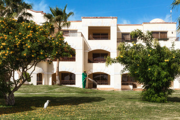 The gardener is watering the lawn in the living complex. Holiday summer background