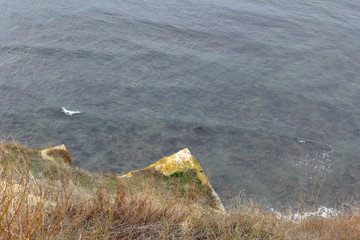 top view of the clear clear sea