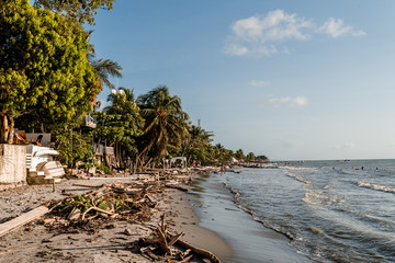 Fototapeta na wymiar Beach with sand full of palms and wood