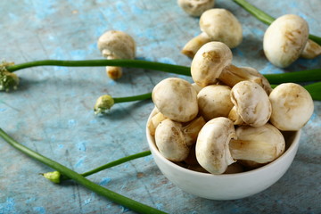 Organic wild mushrooms