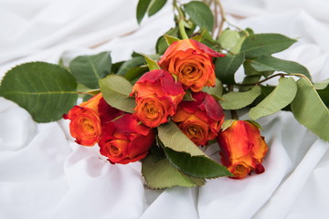 Beautiful bouquet combination series can be used for wedding proposal or celebration