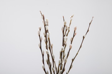 Beautiful bouquet combination series can be used for wedding proposal or celebration