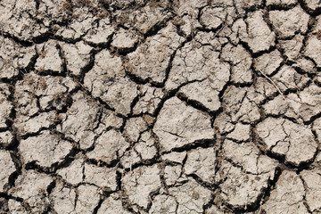 Cracked land, dried earth soil ground texture background.