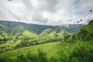 Cocora Valley scenery
