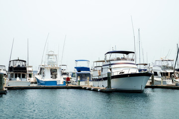 Fototapeta premium Luxury yachts and fishing boats parked at pier of Nelson Bay