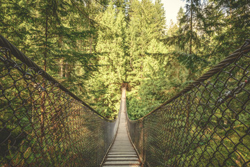 Obraz premium Lynn Canyon suspension bridge