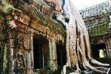 カンボジア世界遺産　アンコール遺跡群　タ・プローム　