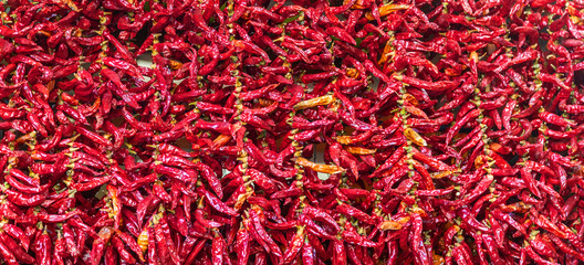 Naklejka premium Dry hot chillis background.